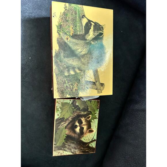 VGUC Vintage 20 Piece Raccoon Collection Pictures Bags Stuffies Plate Wood Box - Picture 5 of 10